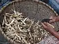 Arrowroot cleaning