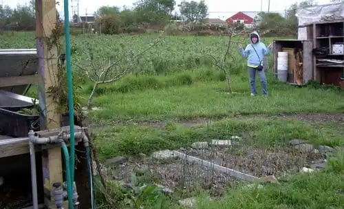 Fig 13: El sitema y su arbol.