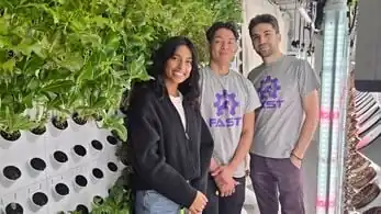 Lighting and Revenue Analysis of Grow Lights in Agrivoltaic Agrotunnel for Lettuces and Swiss Chard