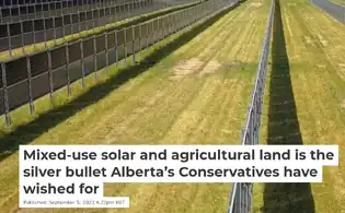 Mixed-use solar and agricultural land is the silver bullet Alberta’s Conservatives have wished for