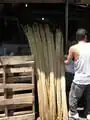 In the Villa Consuelo open air marketplace bamboo is sold by the bunch at $250(RD)