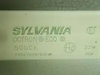 Figure 5. New 32 watt energy efficient bulb (photo by David Wittmers)