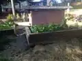 Fig 1b: Humboldt State CCAT Raised Bed #1 Alternative Angle
