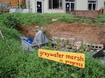 CCAT greywater marsh (current) CCAT Greywater Marsh Continued