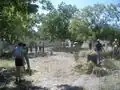 Fig 1: Here the students of the Parras 2006 program are clearing the area where the adobe bricks are going to be constructed. A majority of organic matter is removed so that it does not get mixed into the adobe. The ground both where the adobe materials are mixed and where the adobes dry is leveled. This allows for even drying of the adobes and a much smoother process.