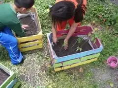 Planting the crate planters