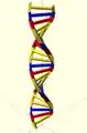 DNA Customizer on Thingiverse