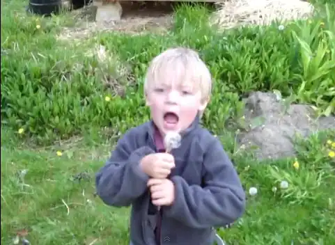 link=http://www.youtube.com/watch?v=XnYle Zkgfs