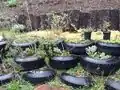 earthship wall in 2014 part 2