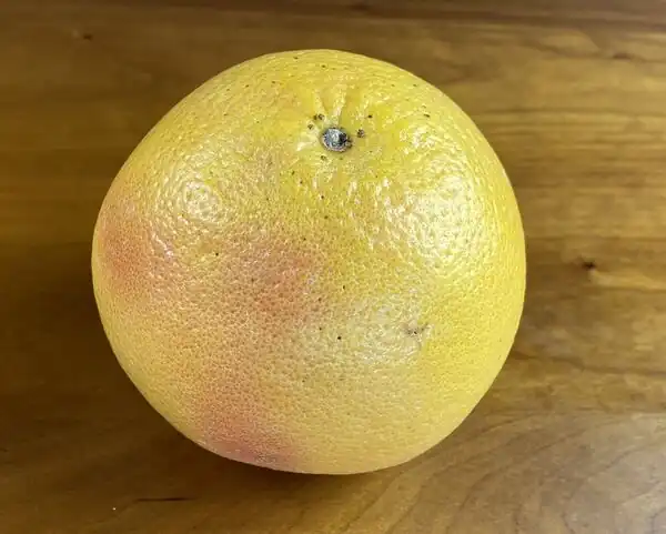 Grapefruit