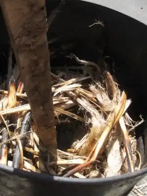 Rocket stove biomass charcoal Use of biomass waste charcoal briquettes for rocket stove