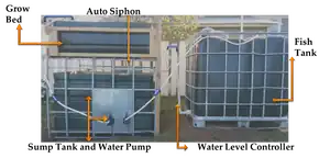 Aquaponic system Upcycled IBC aquponics system