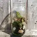 The first food scraps get added to the first jar.