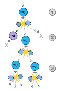 A chain reaction is started when the free neutrons from uranium-235 fission induce fission in other atoms