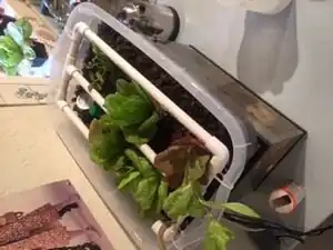 Emily small aquaponic system micro-aquaponic system to grow personal vegetables/fruit