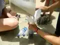 Filling bottles with sand