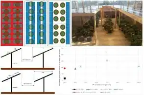 Strawberry agrivoltaics in Canada: Comparing uniform thin film and non-uniform crystalline silicon semi-transparent solar photovoltaic modules in controlled environment agriculture