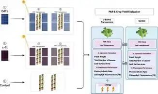 Transparency effects in agrivoltaics lettuce cultivation using uniform/non-uniform semitransparent photovoltaic modules in controlled environments