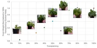 Photosynthetically active radiation complexities in agrivoltaic policy mandates: Insights from controlled environment yields under semitransparent photovoltaics