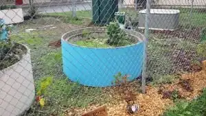 Jefferson Community Center edible landscape Garden Beds in the Edible Landscape