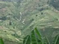 Deforestation in Haiti