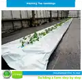 Step 14: Plant seedlings.[14]