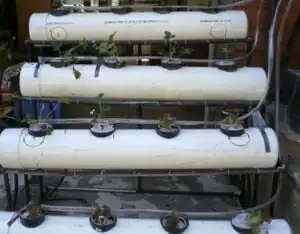 Soil-less Growing System A system that would grow food for the occupants of the barge without the presence of soil