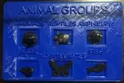 Animal Groups Matching, $12 [3]
