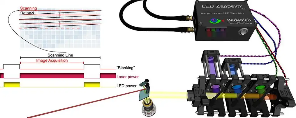 LED Zappelin': An Open Source LED Controller for Arbitrary Spectrum Visual Stimulation and Optogenetics During 2-Photon Imaging