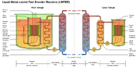 A schematic of the two types of liquid metal fast breeder reactor (LMFBR)