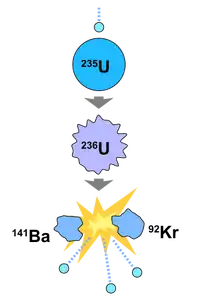 A diagram of a uranium-235 fission reaction. The fission results in two separate atoms, barium-141 and krypton-92, as well as releases 2-3 neutrons and beta radiation.