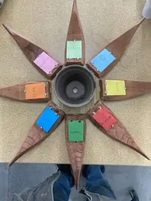 Biological and Agricultural Sciences