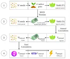 Is Non-Thermal Plasma Treatment of Commodity Lettuce Seeds Worth It? Economic Impacts and Yield of Lettuce in Indoor Vertical Farming Testing Dry Air, Wet Air, N2 and O2 Plasmas
