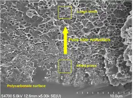 Mass Transport in Conformally Coated Porous Materials