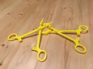 Locking Forceps with Interchangeable Tips