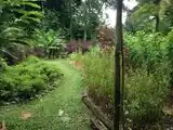 Organic gardens