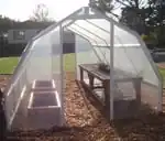 Greenhouse