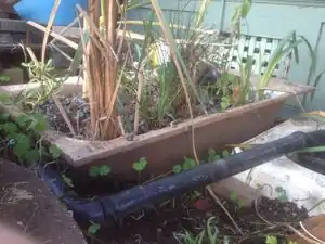 Fall 2016: The Sanctuary Arcata Design and build sustainable infrastructure at The Sanctuary Arcata in Arcata, CA.