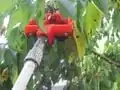 Simple Fruit Picker for small fruit like cherry