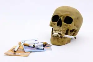 Detecting Covert Legal Killing to Stop A New Approach to Terrorist Intention