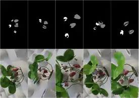 From blender to farm: Transforming controlled environment agriculture with synthetic data and SwinUNet for precision crop monitoring