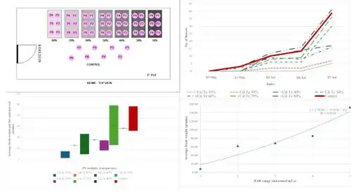 Experimental impacts of transparency on strawberry agrivoltaics using thin film photovoltaic modules under low light conditions