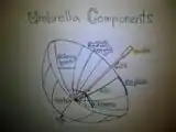 Umbrella components.