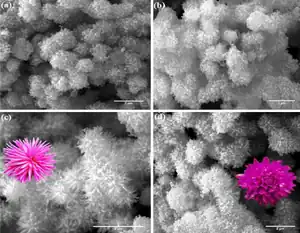 The use of urea as an N-doping 3D hierarchical preserving agent for titanium dioxide nanostructures tailored for dye-sensitized solar cells