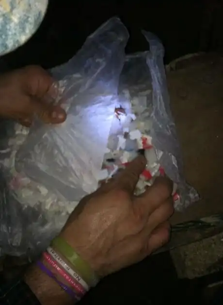 Experiment #1 results