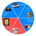 Waste stream educational wheel Waste steam educational wheel.
