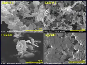 Inhibition of growth of S. epidermidis by hydrothermally synthesized ZnO nanoplates